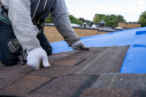 Best Commercial Roofing Services  in Harvest, AL