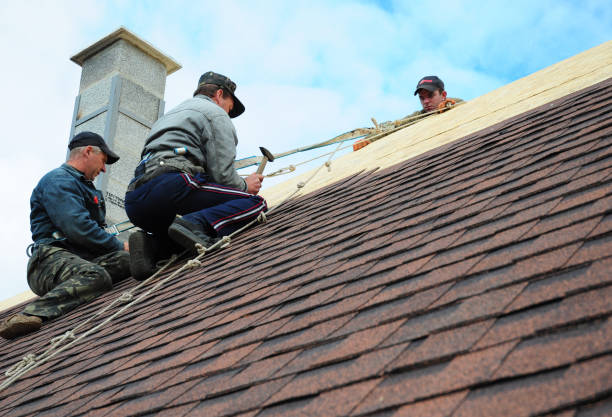 Best Roof Maintenance Services  in Harvest, AL